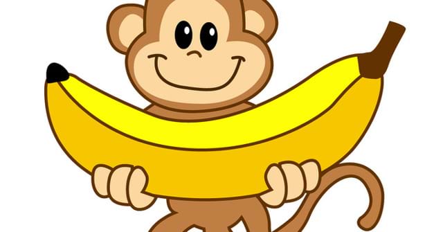Bạn là một người yêu thích game? Vậy thì hãy chơi game khỉ con ăn chuối để giải trí và thư giãn cùng những chú khỉ đáng yêu.