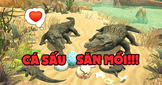 Game Cá Sấu Săn Mồi - Hunger Croc Frenzy - Game Vui