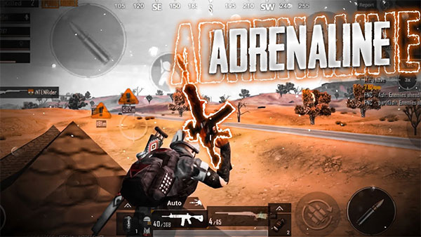 Adrenaline