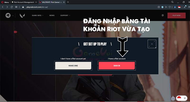 Sign In using the Riot account just created above