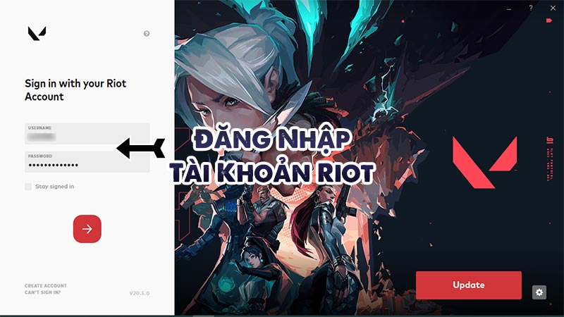 Log in to your Riot account