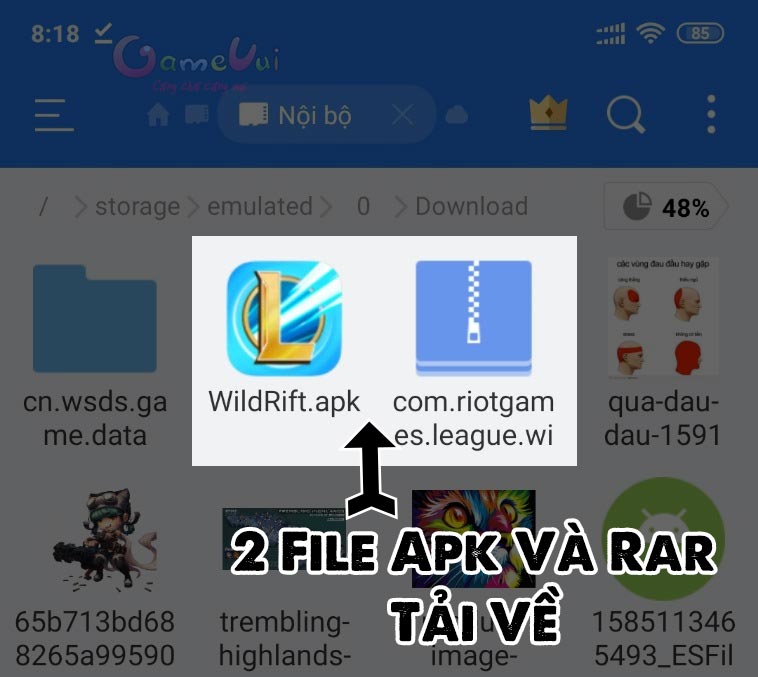 2 Apk and Rar files to install League of Legends Android