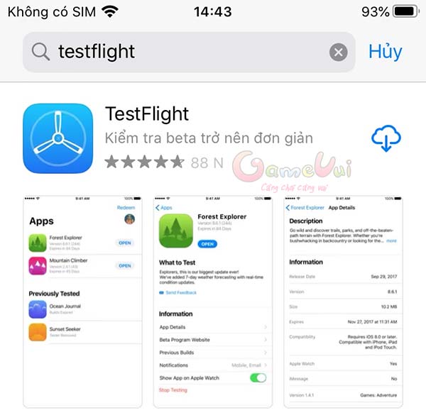 Install TestFlight on iOS