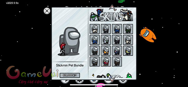 List of skins and pets