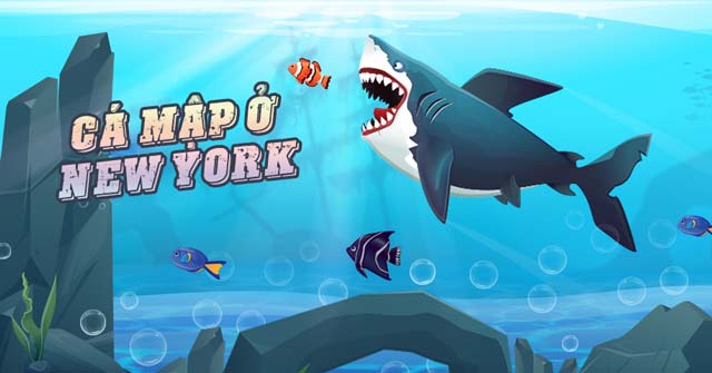 Game Cá Mập Ở New York - Game Vui