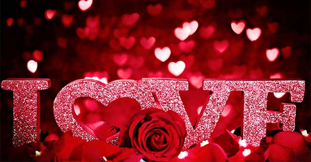 Loài hoa nào tượng trưng cho ngày Valentine?