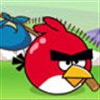 Angry Bird du lịch